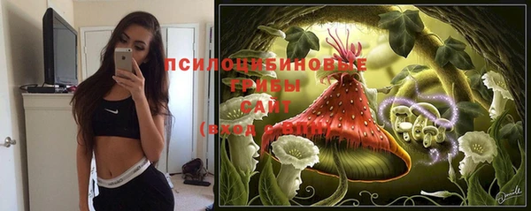 экстази Дмитров