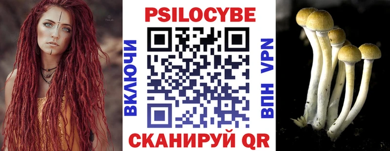 Купить где  Пикалёво  Галлюциногенные грибы мицелий 